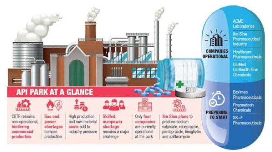Pharmaceutical Industry Faces Energy, Cost and Skilled Manpower Challenges