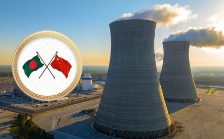China Proposes 100MW Nuclear Power Plant in Mongla