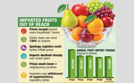 Imported Fruits Turn Into Luxury Items as Duties Soar