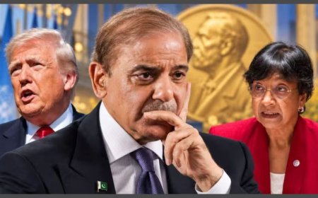 Pakistan PM Backs Trump for Nobel Peace Prize as Laureate Navi Pillay Jokes About Sharing Award