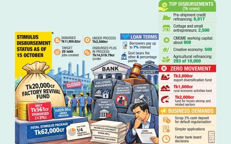 Banks, Collateral Disputes and Court Cases Delay Factory Revival Funds