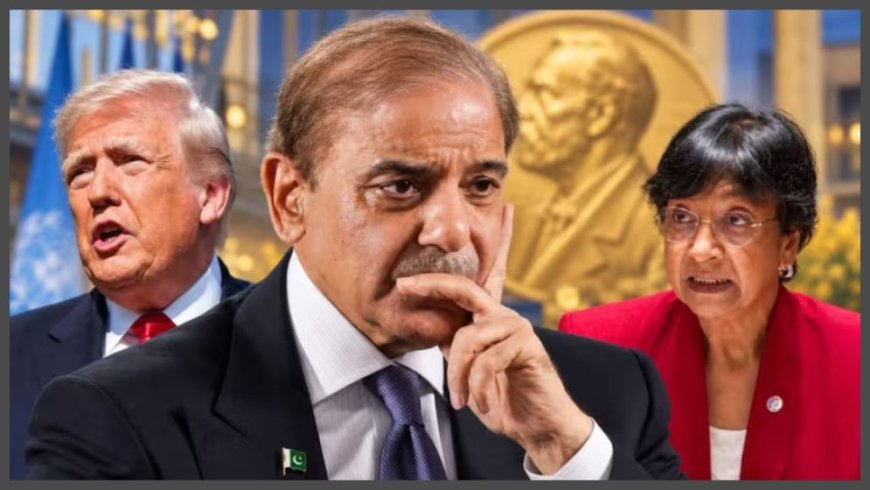 Pakistan PM Backs Trump for Nobel Peace Prize as Laureate Navi Pillay Jokes About Sharing Award